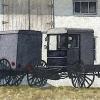 Amish Buggies
Watercolor, 4" x 7" 