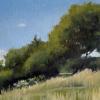 Trees in Provence
Oil, 8" x 10" 