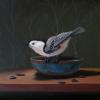 Nuthatch and Raku
Oil, 8" x 8" 